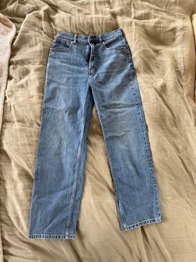 Everlane Way High Straight Leg Jeans in Light Blue Wash